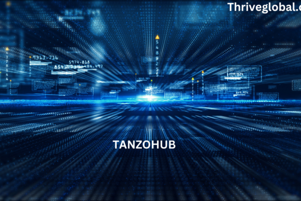 What You Need to Know About Tanzohub: An Informative Guide