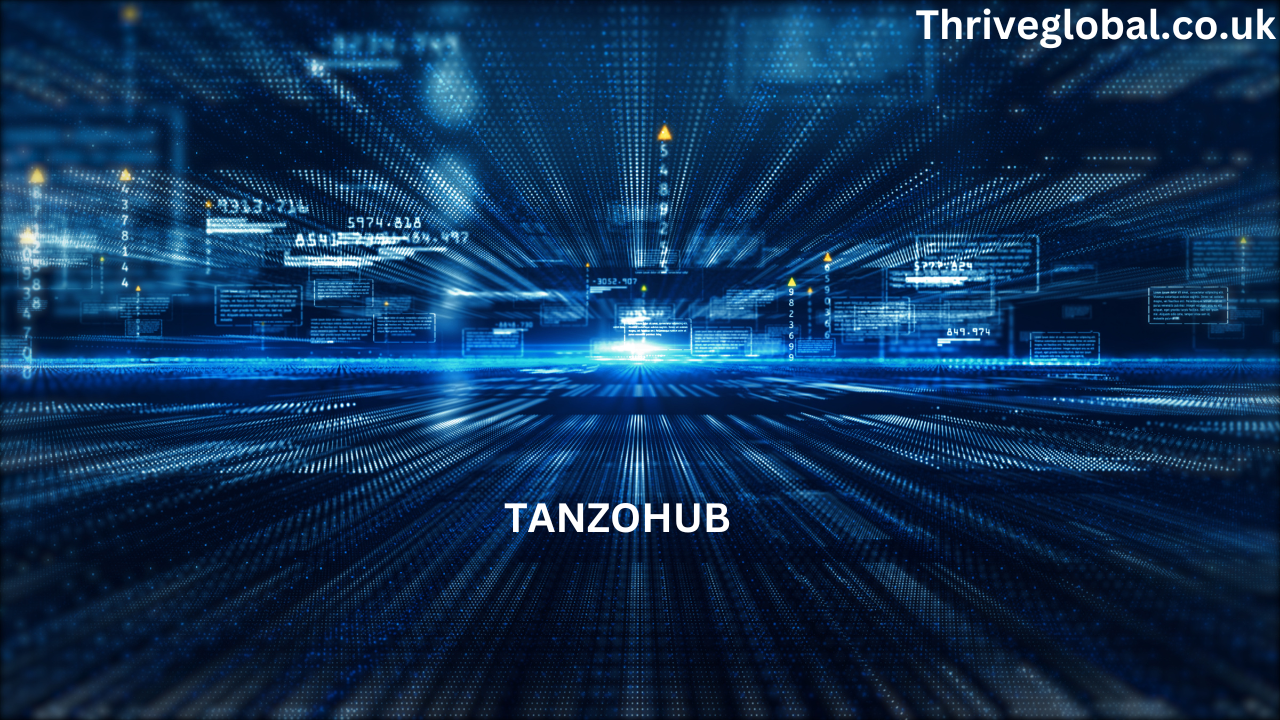 What You Need to Know About Tanzohub: An Informative Guide