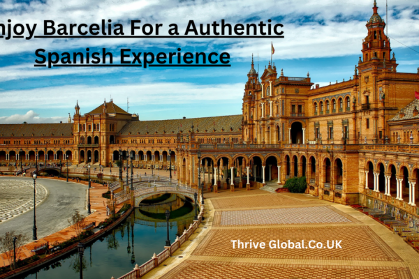 Enjoy Barcelia For a Authentic Spanish Experience