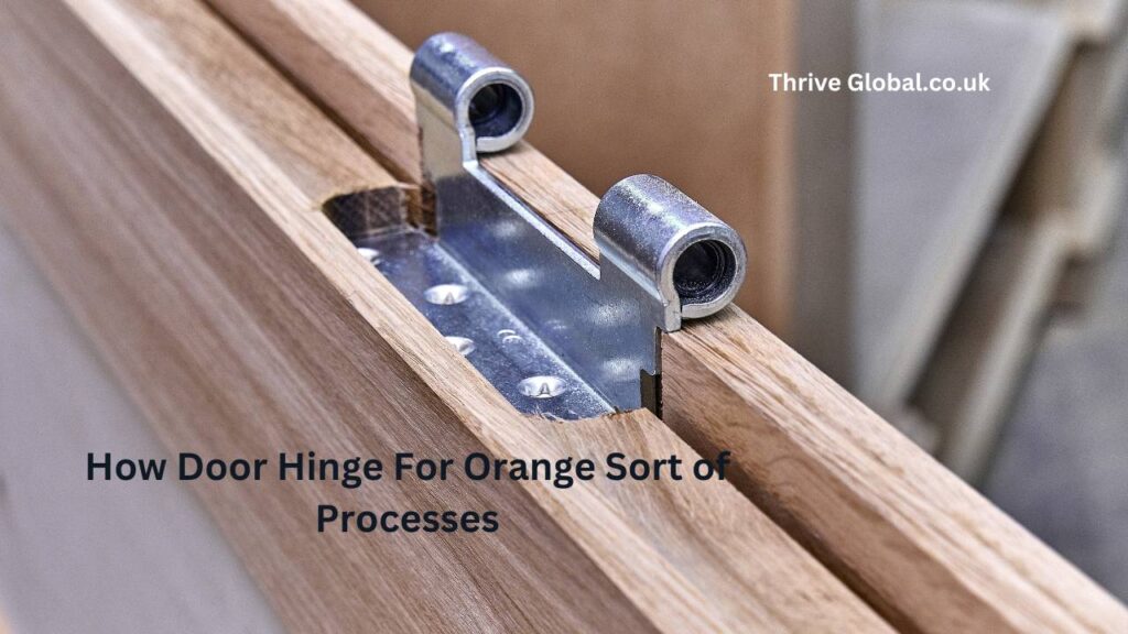 How Door Hinge For Orange Sort of Processes