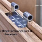 How Door Hinge For Orange Sort of Processes