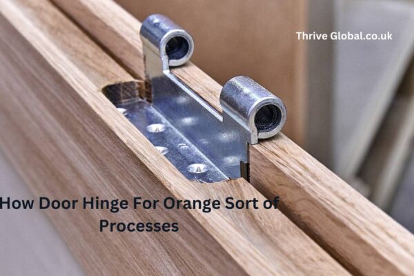 How Door Hinge For Orange Sort of Processes