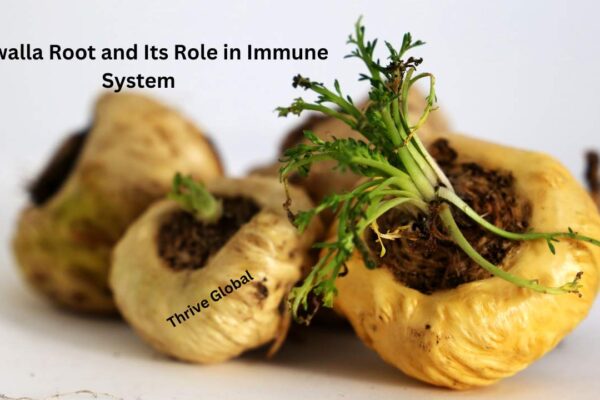 Kalawalla Root and Its Role in Immune System