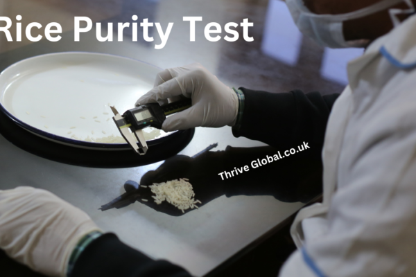 what is Rice Purity Test