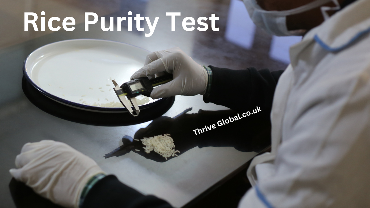 what is Rice Purity Test