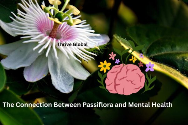 The Connection Between Passiflora and Mental Health