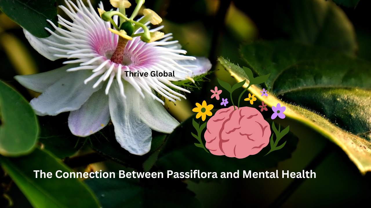 The Connection Between Passiflora and Mental Health