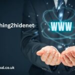 www nothing2hidenet