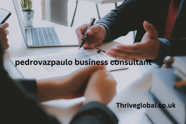 pedrovazpaulo business consultant