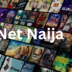 Top 10 Movies to Stream on Net Naija Right Now