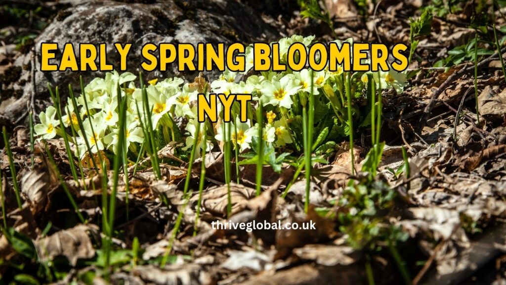 early spring bloomers nyt