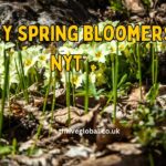 early spring bloomers nyt