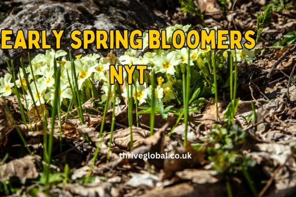 early spring bloomers nyt