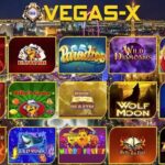 Vegas X Org: Benefits and Feature