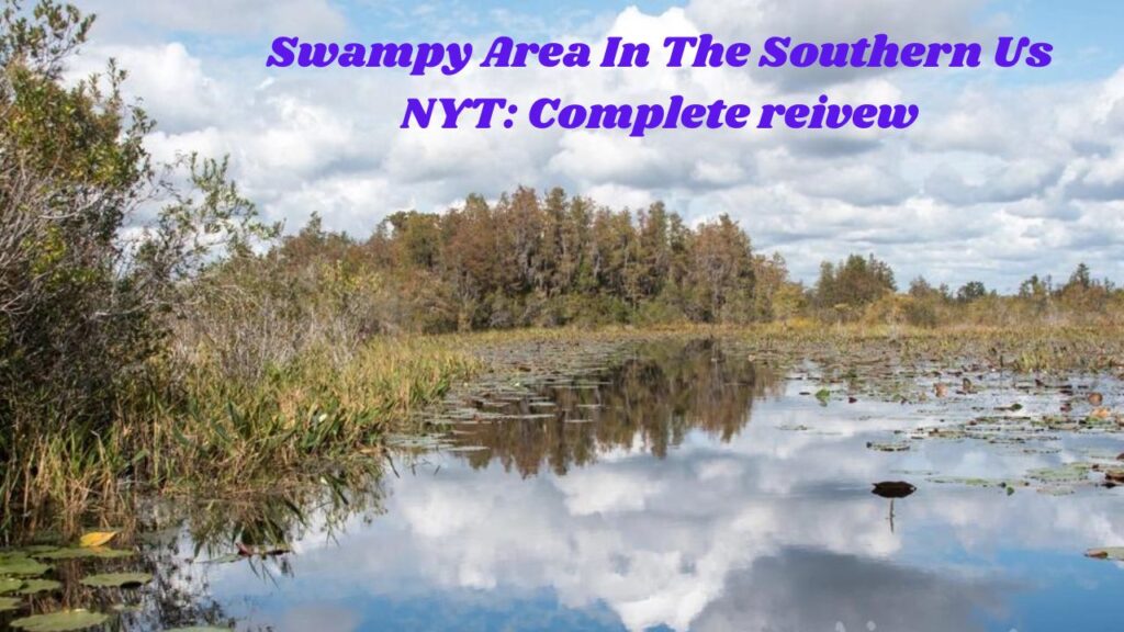 Swampy Area In The Southern Us NYT: Complete Reivew