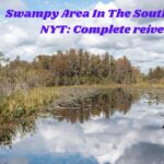 Swampy Area In The Southern Us NYT: Complete Reivew