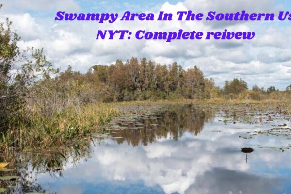 Swampy Area In The Southern Us NYT: Complete Reivew