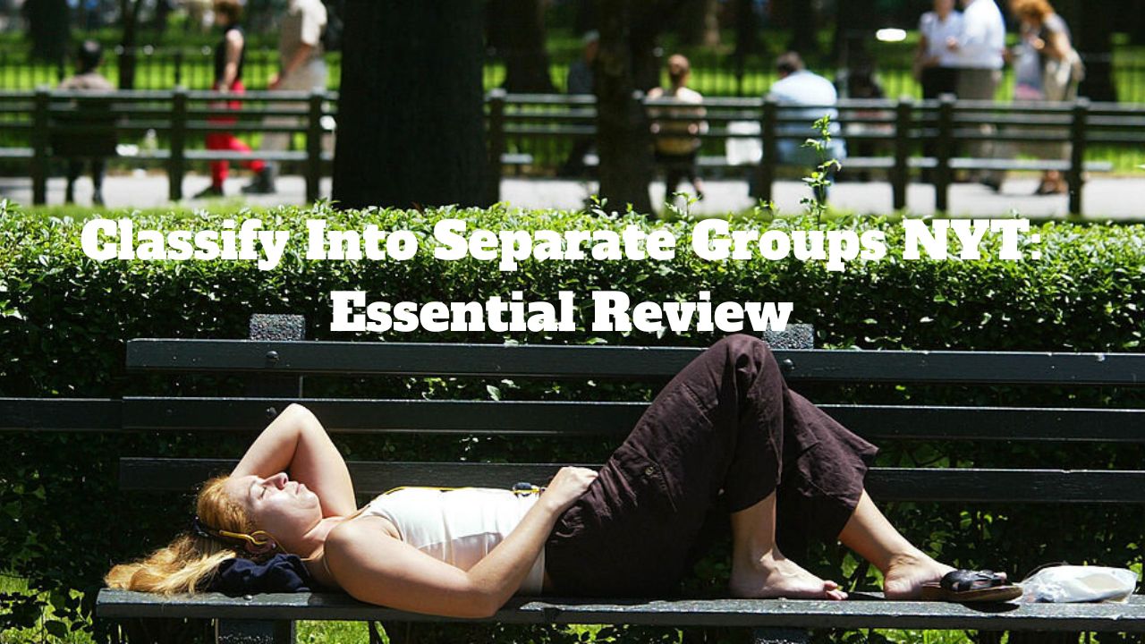 Classify Into Separate Groups NYT: Essential Review