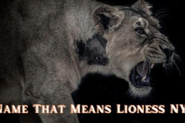 Name That Means Lioness NYT: All You Need To Know