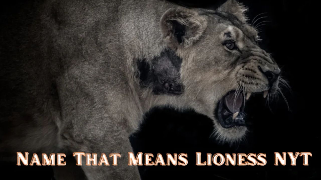 Name That Means Lioness NYT: All You Need To Know