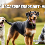 https://razasdeperros.net/medianos