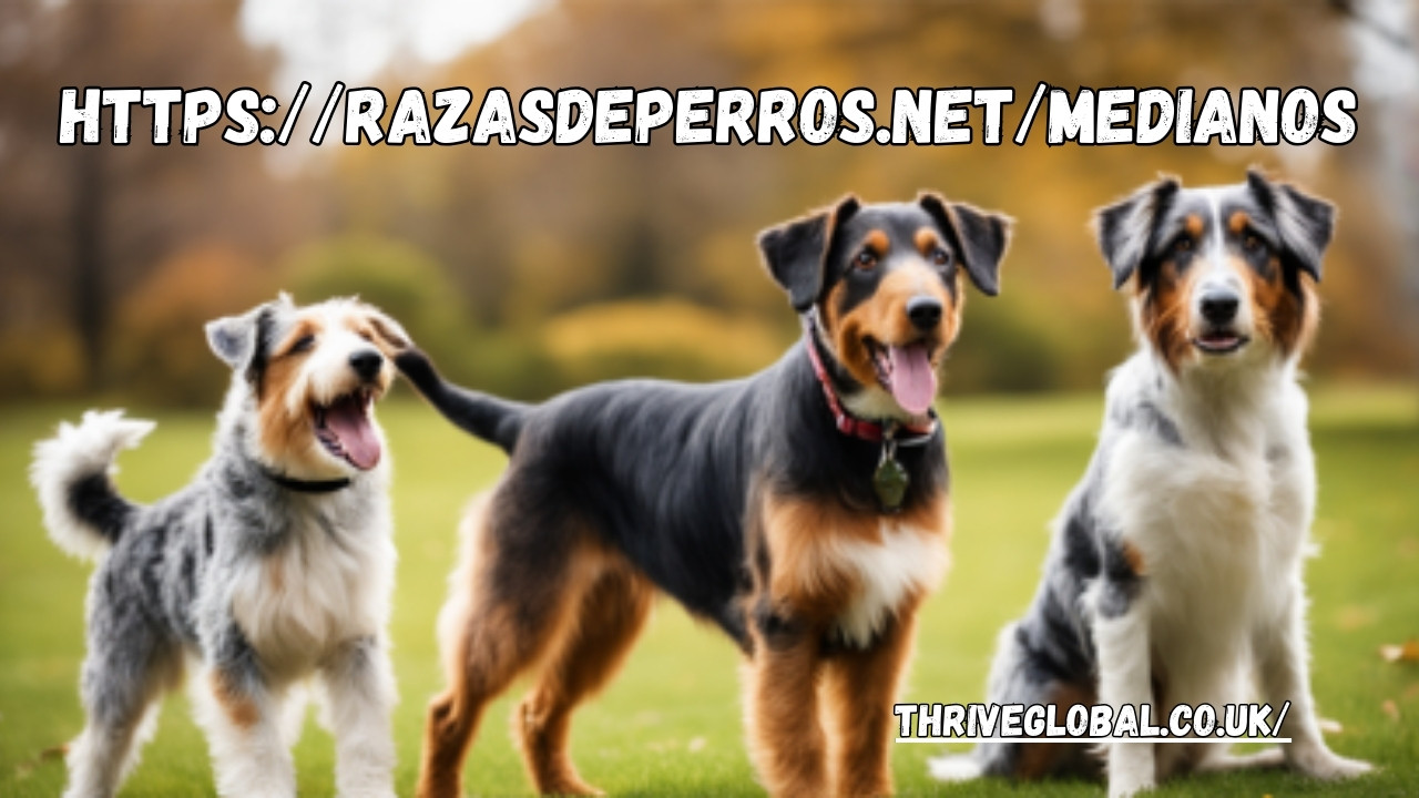 https://razasdeperros.net/medianos