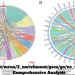 :./result/mrna/3_enrichment/gsea/go/nc_vs_fko: A Comprehensive Analysis