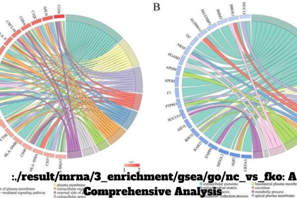 :./result/mrna/3_enrichment/gsea/go/nc_vs_fko: A Comprehensive Analysis