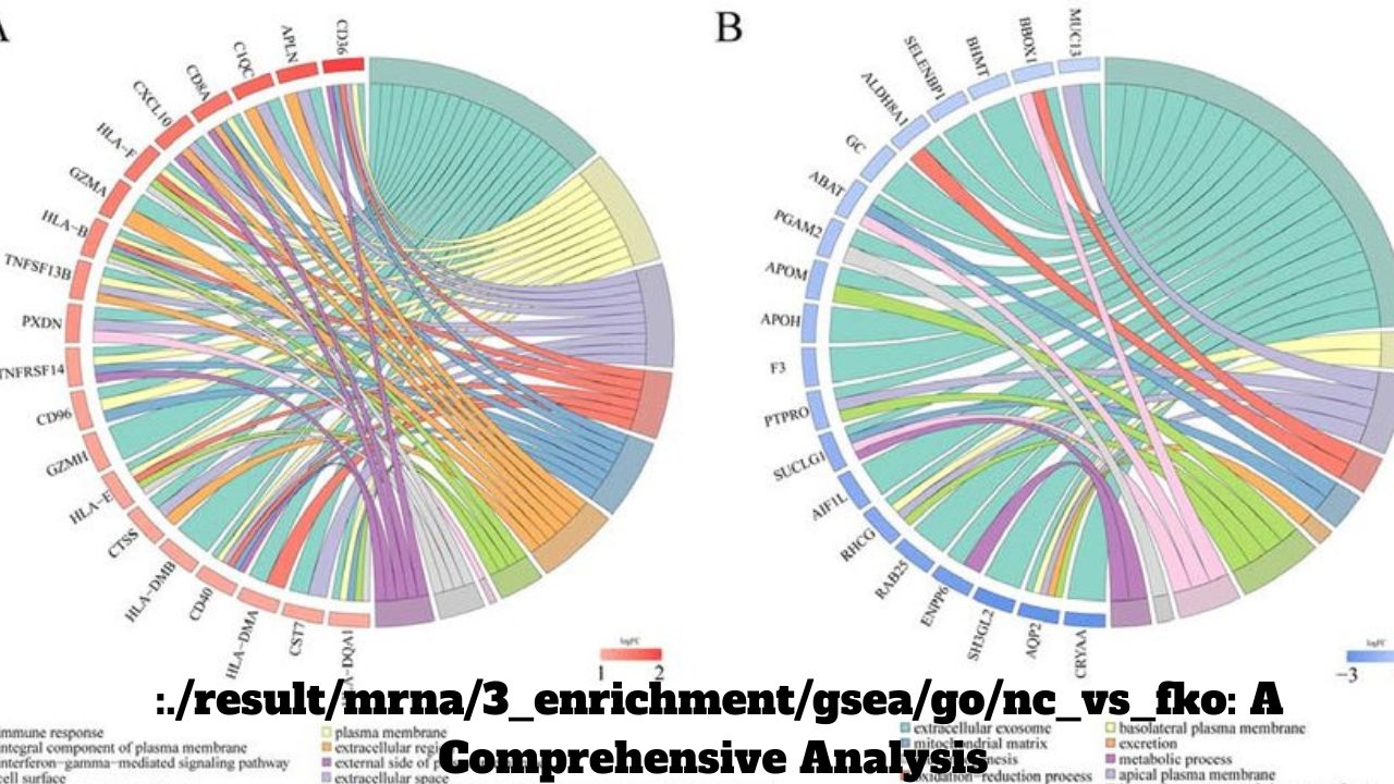 :./result/mrna/3_enrichment/gsea/go/nc_vs_fko: A Comprehensive Analysis