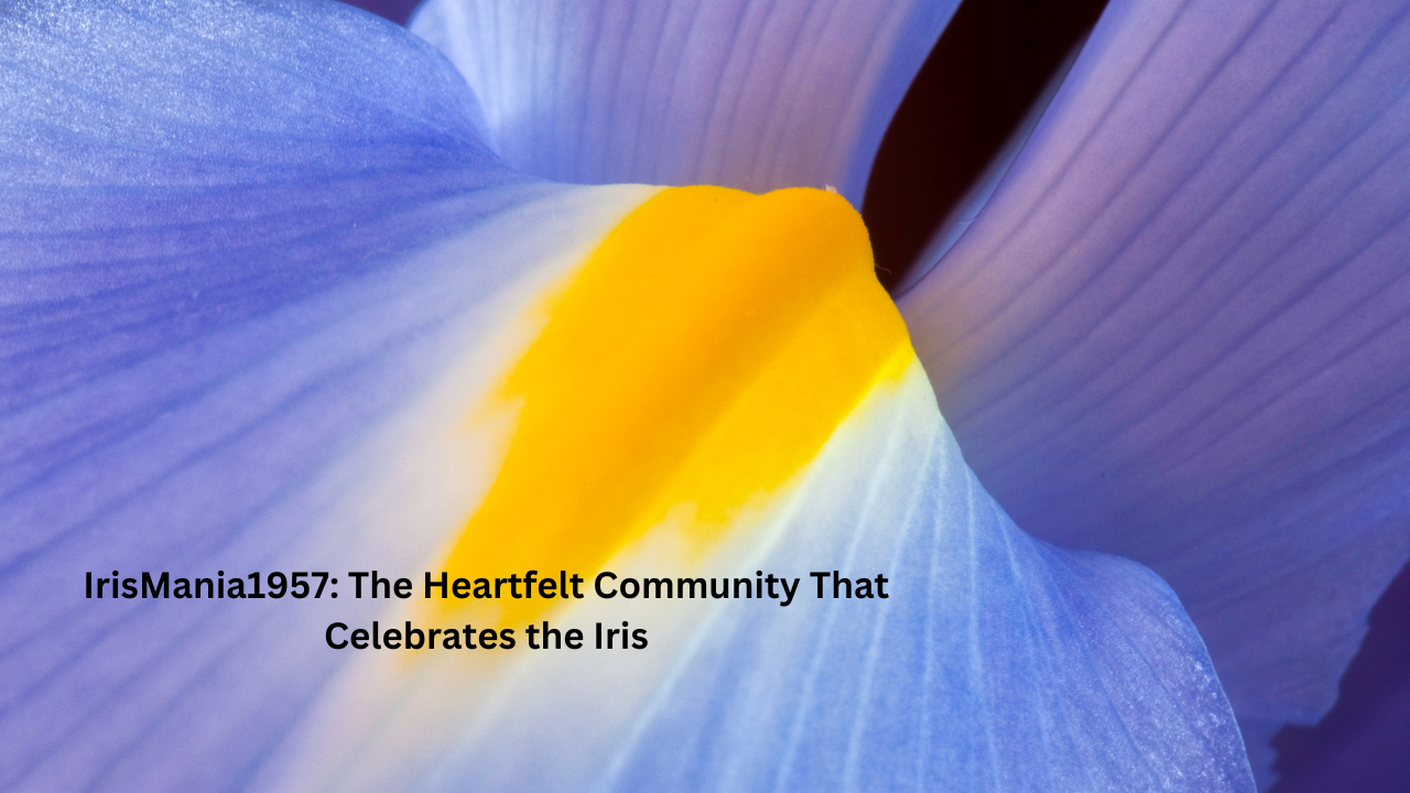 IrisMania1957: The Heartfelt Community That Celebrates the Iris